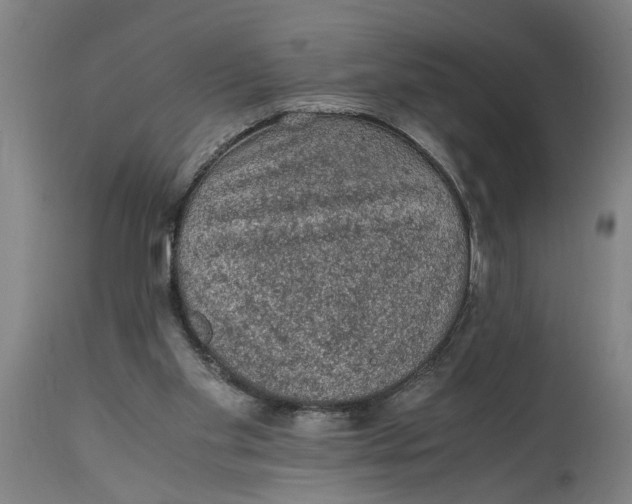 X0000114660109200911101352