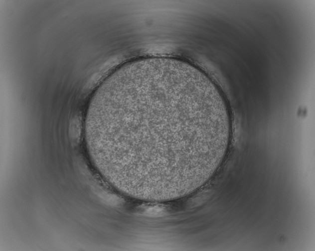 X0000114660113200911101352