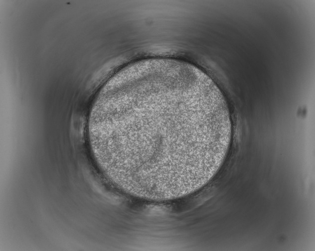 X0000114660115200911101352