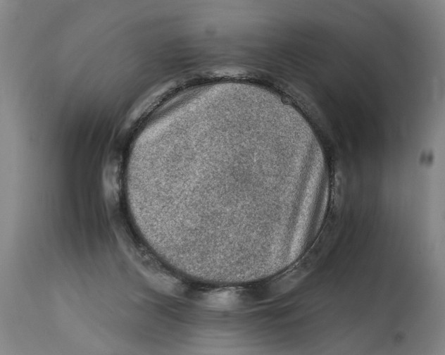 X0000114660116200911101352