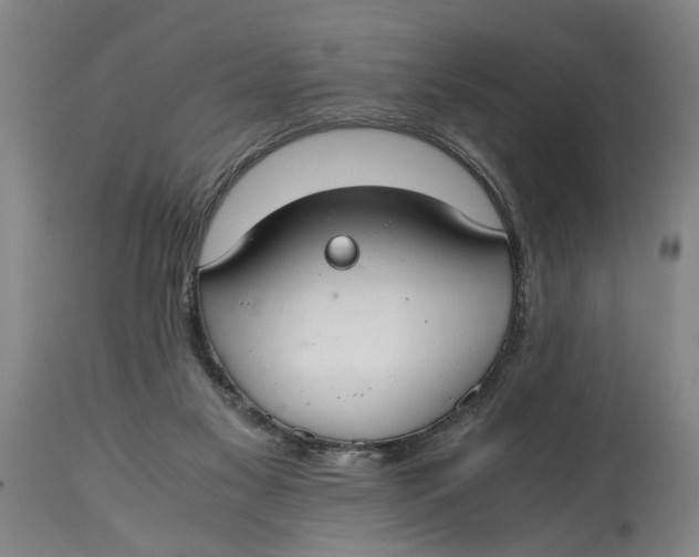 X0000114660117200911101352