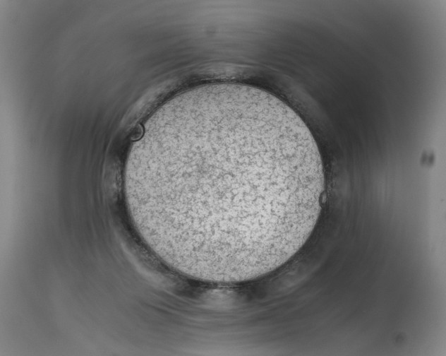 X0000114660119200911101352