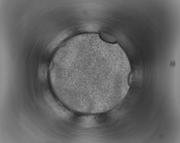 X0000114660120200911101352