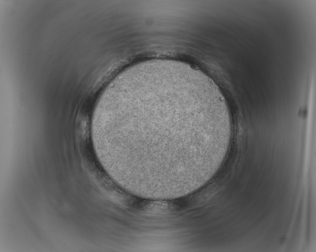 X0000114660123200911101352