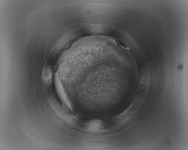 X0000114660124200911101352