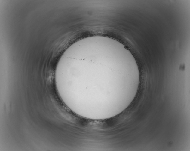 X0000114660125200911101352