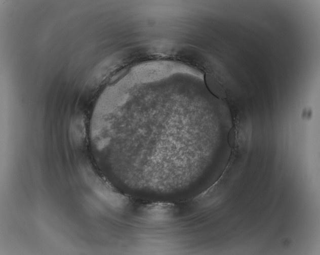 X0000114660128200911101352