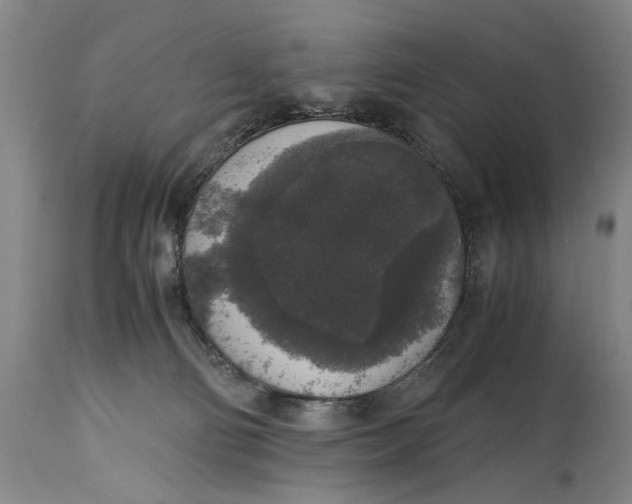 X0000114660130200911101351