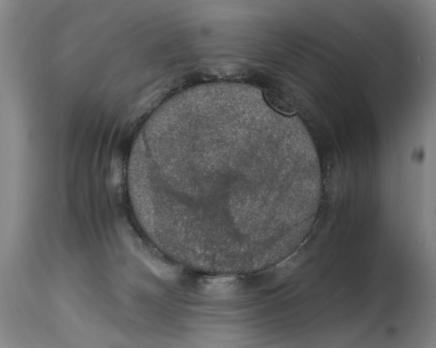 X0000114660132200911101351