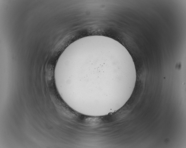 X0000114660133200911101351