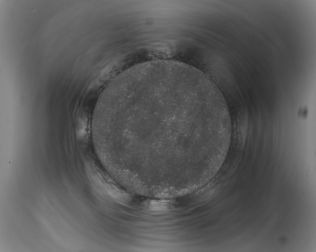 X0000114660134200911101351