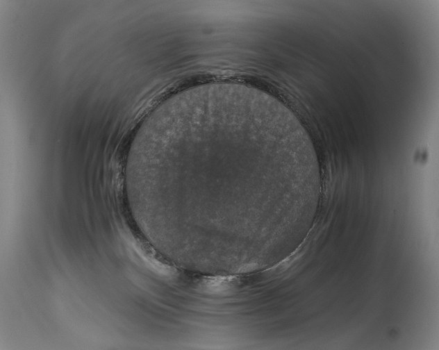 X0000114660136200911101351