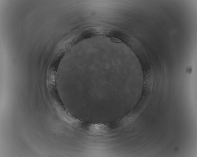 X0000114660137200911101351