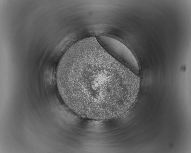 X0000114660140200911101351