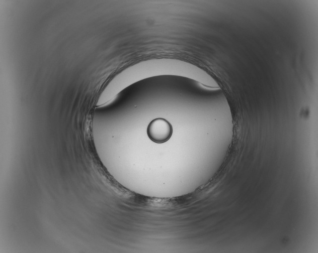 X0000114660141200911101351