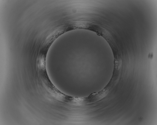 X0000114660143200911101351