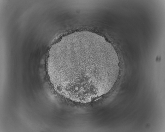 X0000114660144200911101351