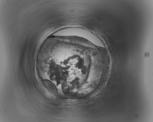 X0000114660145200911101351