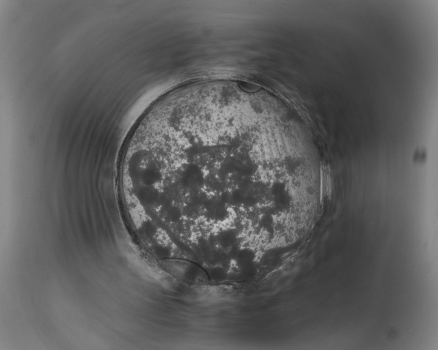 X0000114660147200911101351