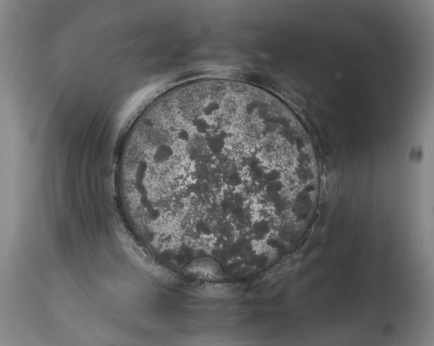 X0000114660149200911101351