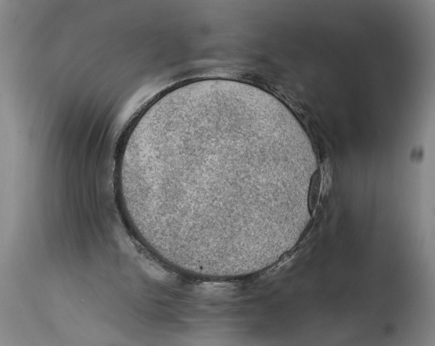 X0000114660150200911101351