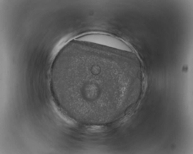 X0000114660151200911101351