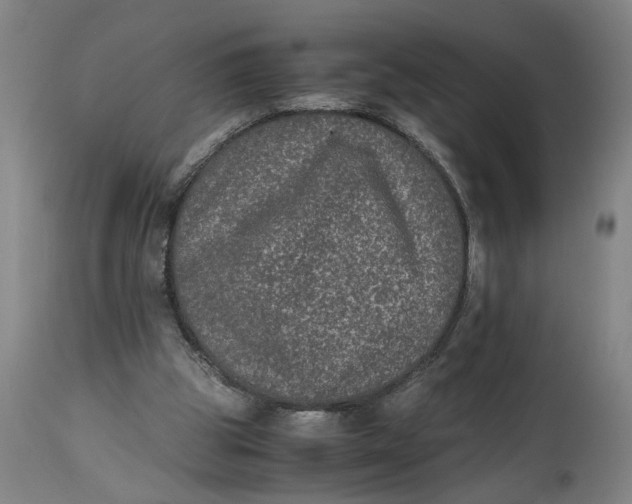 X0000114660153200911101351