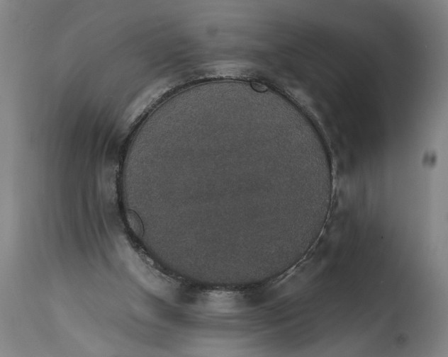 X0000114660154200911101351