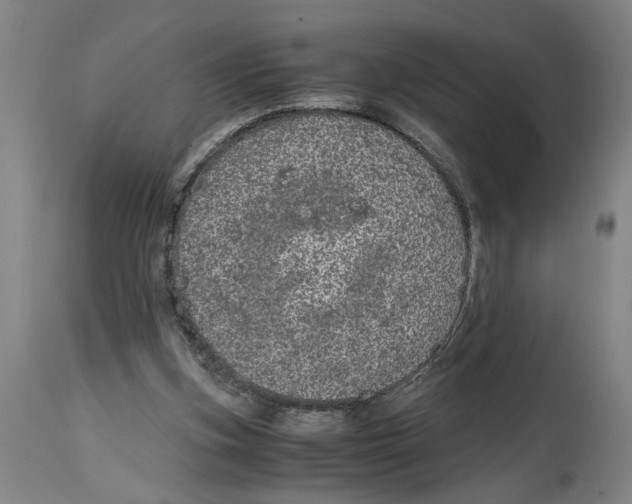 X0000114660155200911101351