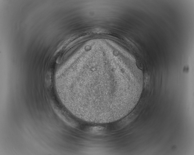 X0000114660158200911101351