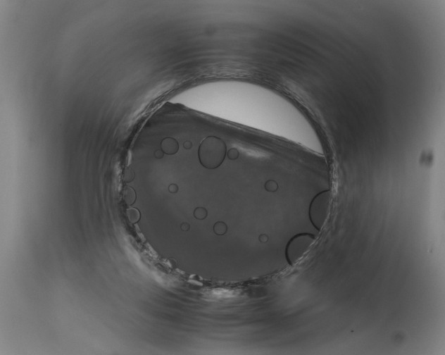 X0000114660163200911101351