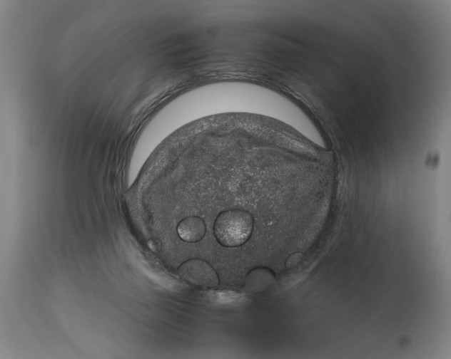 X0000114660165200911101351