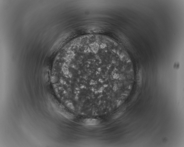 X0000114660169200911101351