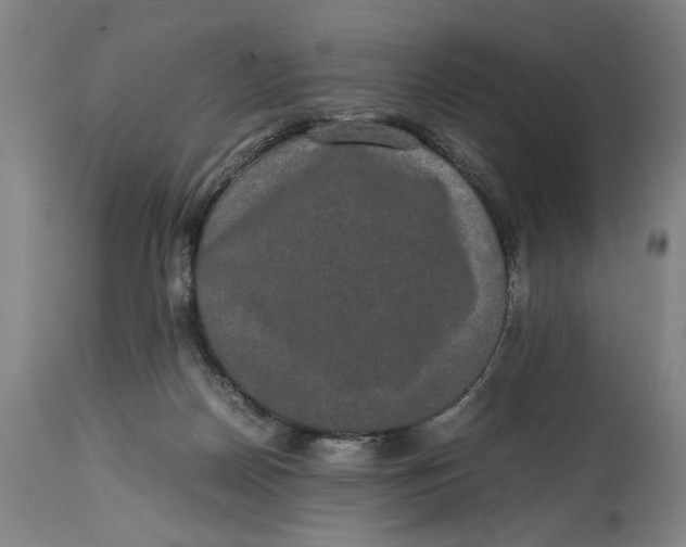 X0000114660170200911101351