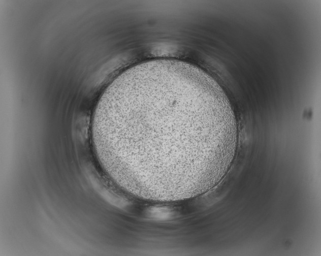 X0000114660171200911101351