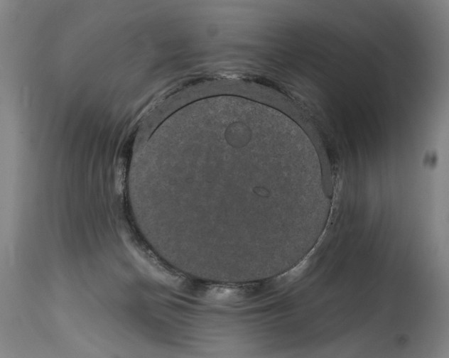 X0000114660174200911101351