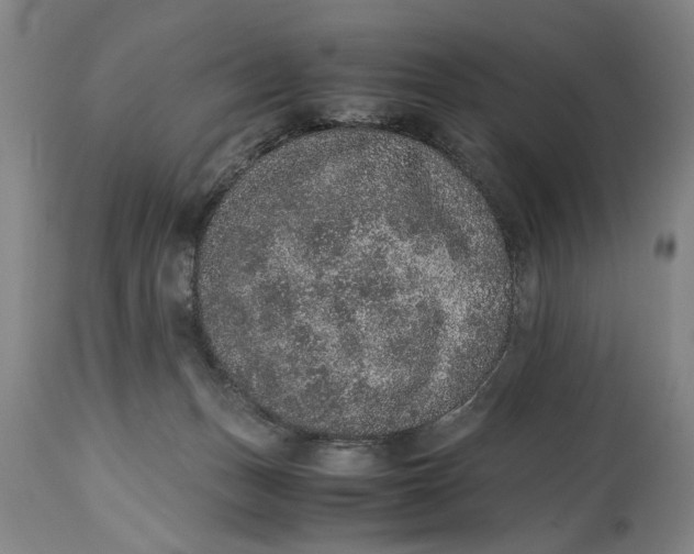 X0000114660175200911101351