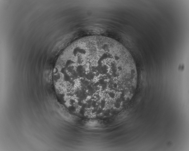 X0000114660177200911101351