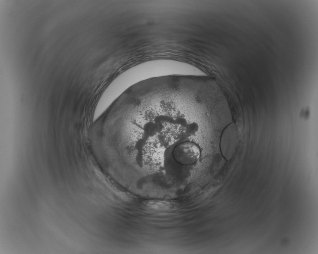 X0000114660181200911101351