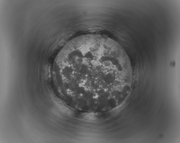 X0000114660182200911101351