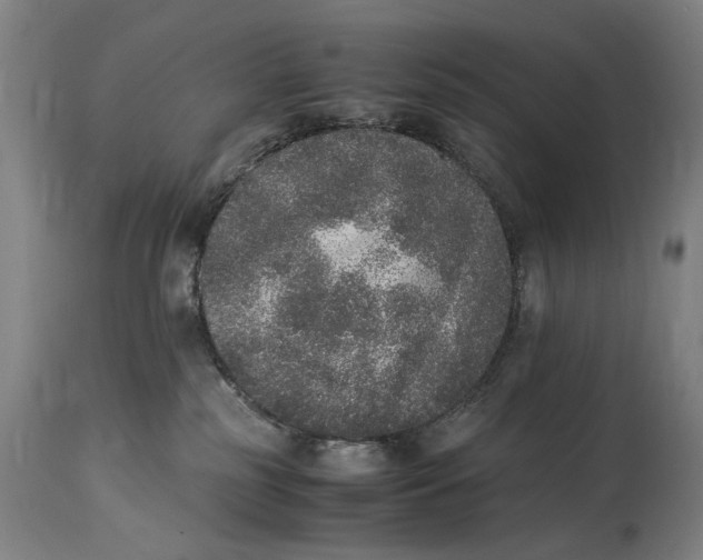 X0000114660185200911101351