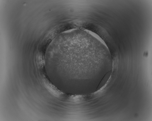 X0000114660186200911101351