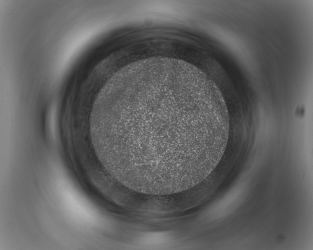 X0000114660189200911101351