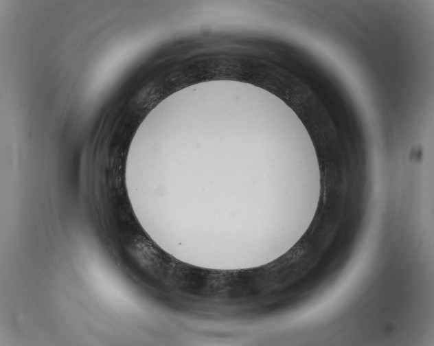 X0000114660190200911101351