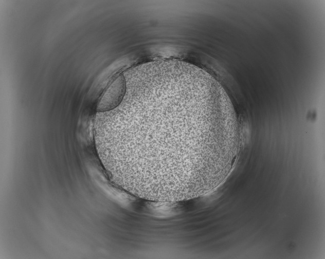 X0000114660191200911101351