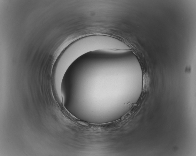 X0000114660195200911101351