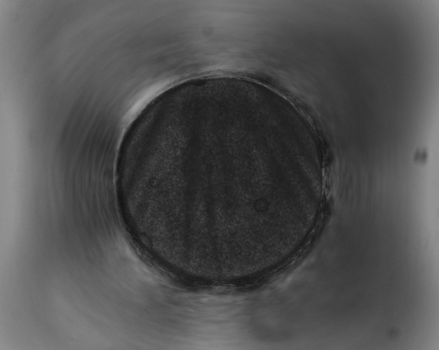 X0000114660196200911101351