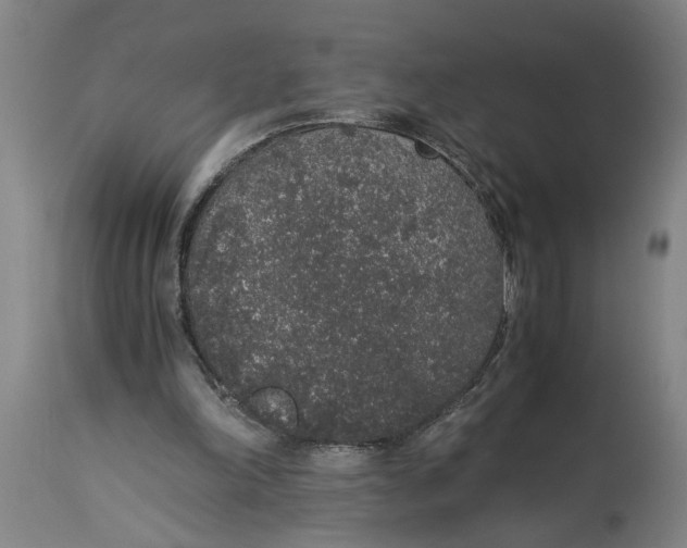 X0000114660198200911101351