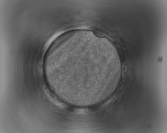 X0000114660200200911101351