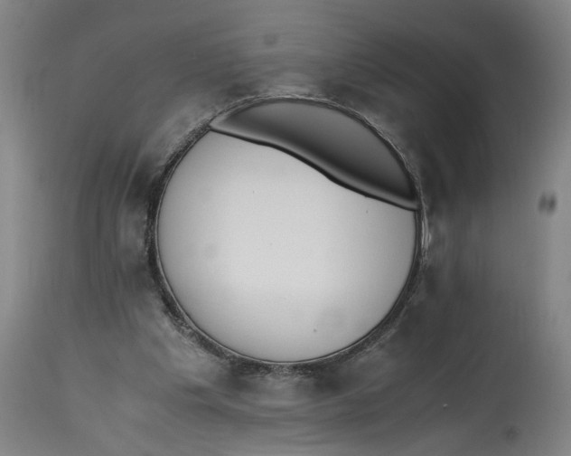 X0000114660201200911101350